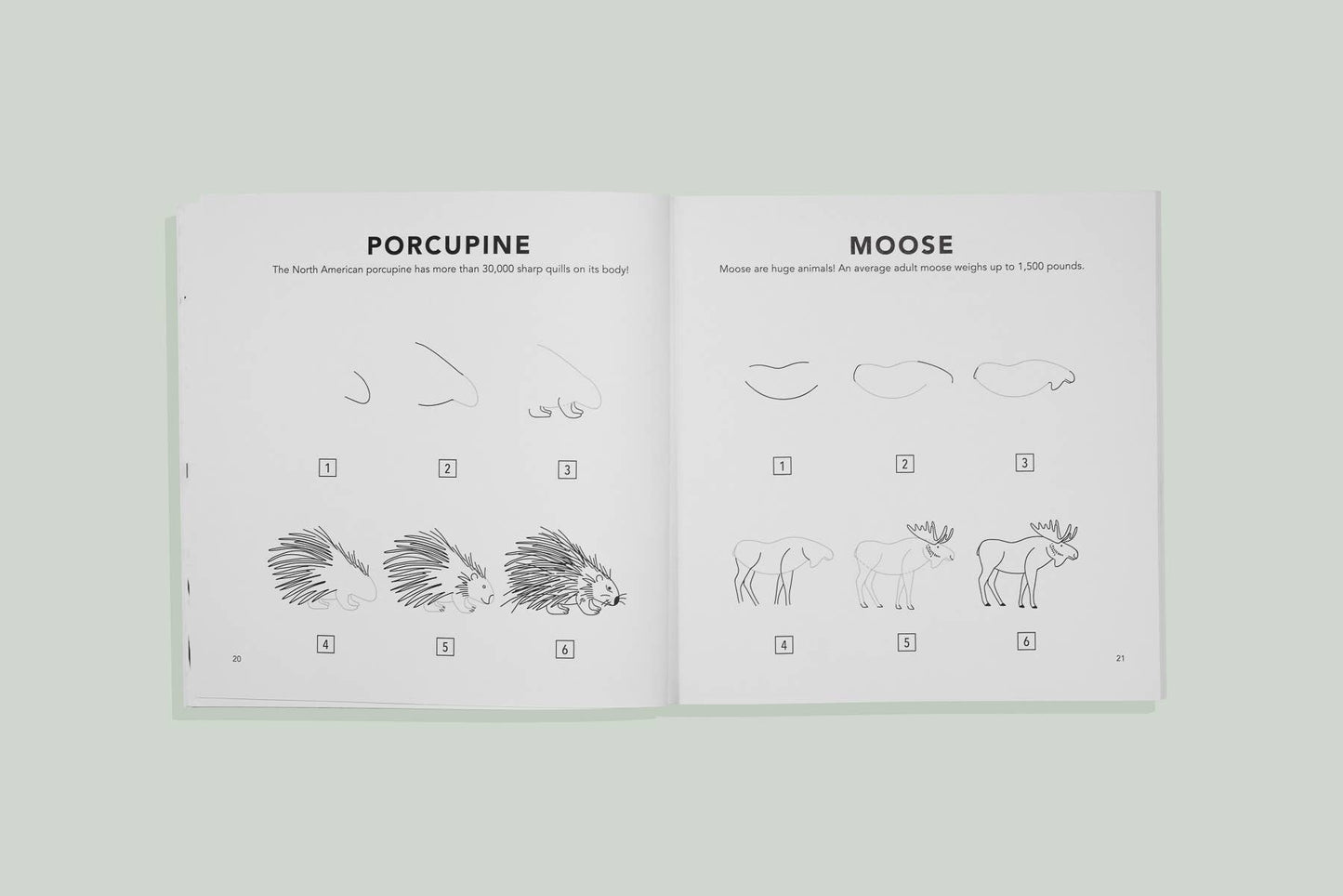 Mushrooms & Woodland Creatures: Kids How to Draw Book (fall)