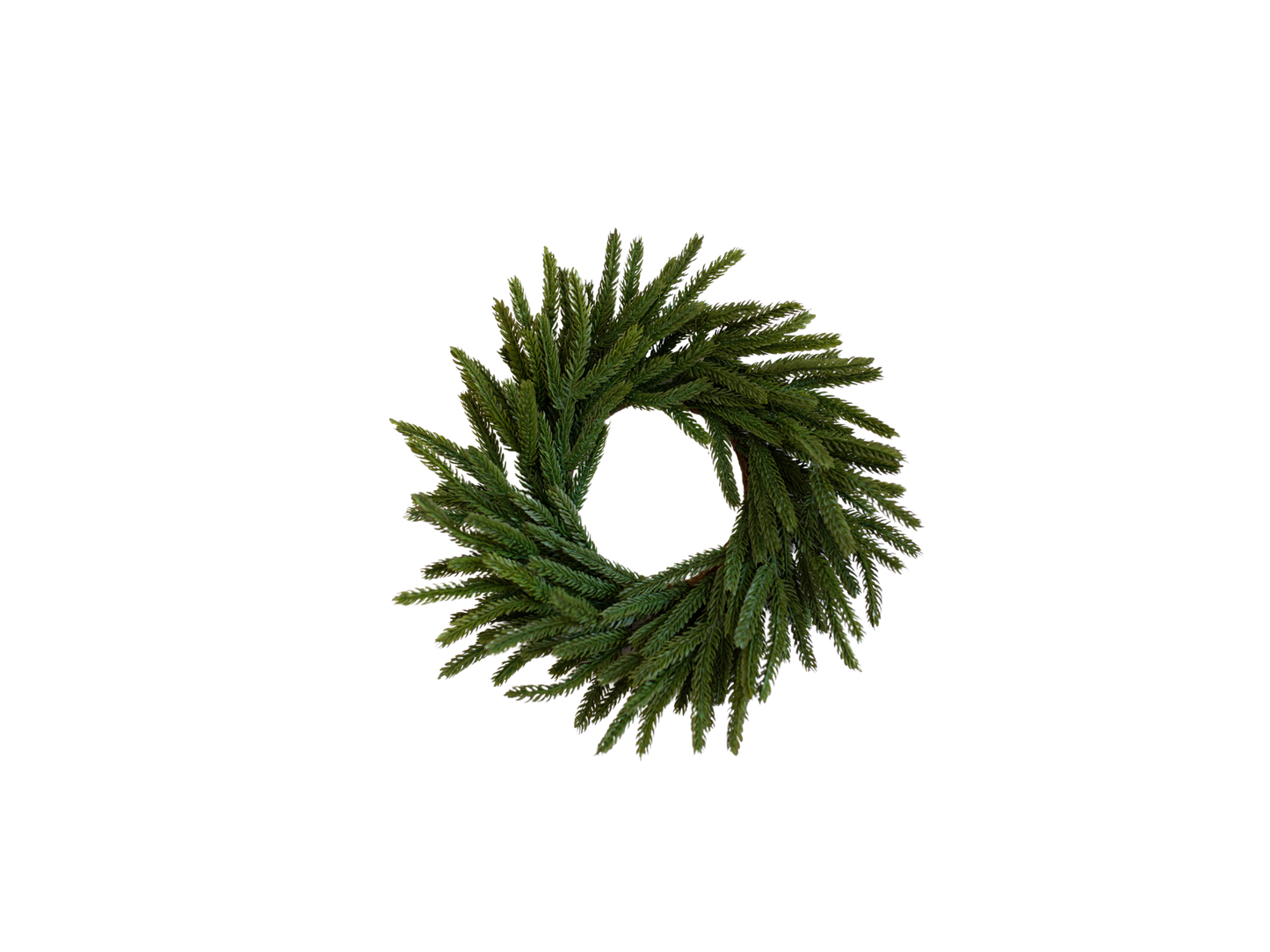 Norfolk Pine Real Touch Faux Christmas Wreath Mini