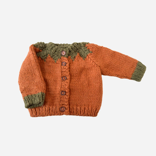 Pumpkin Cardigan Baby Kid Fall Thanksgiving Halloween: Clay
