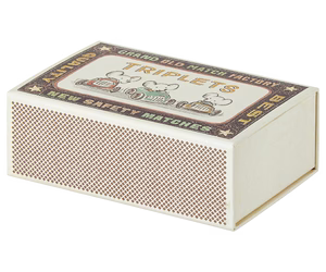 Triplets, Baby mice in matchbox