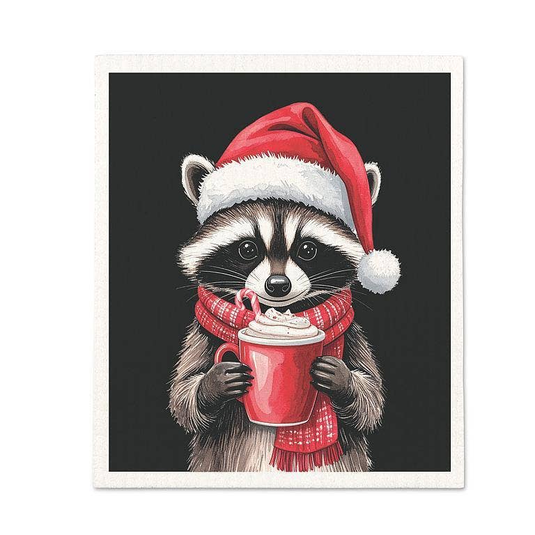 Winter Raccoon Dishcloth