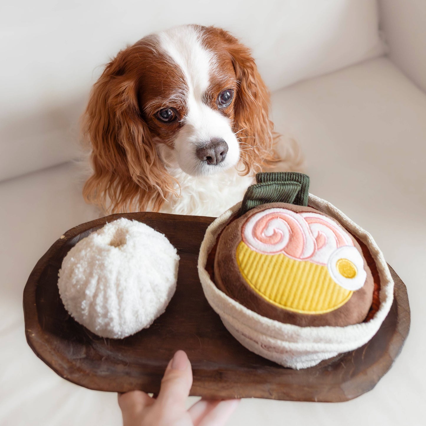 Ramen Dog Toy
