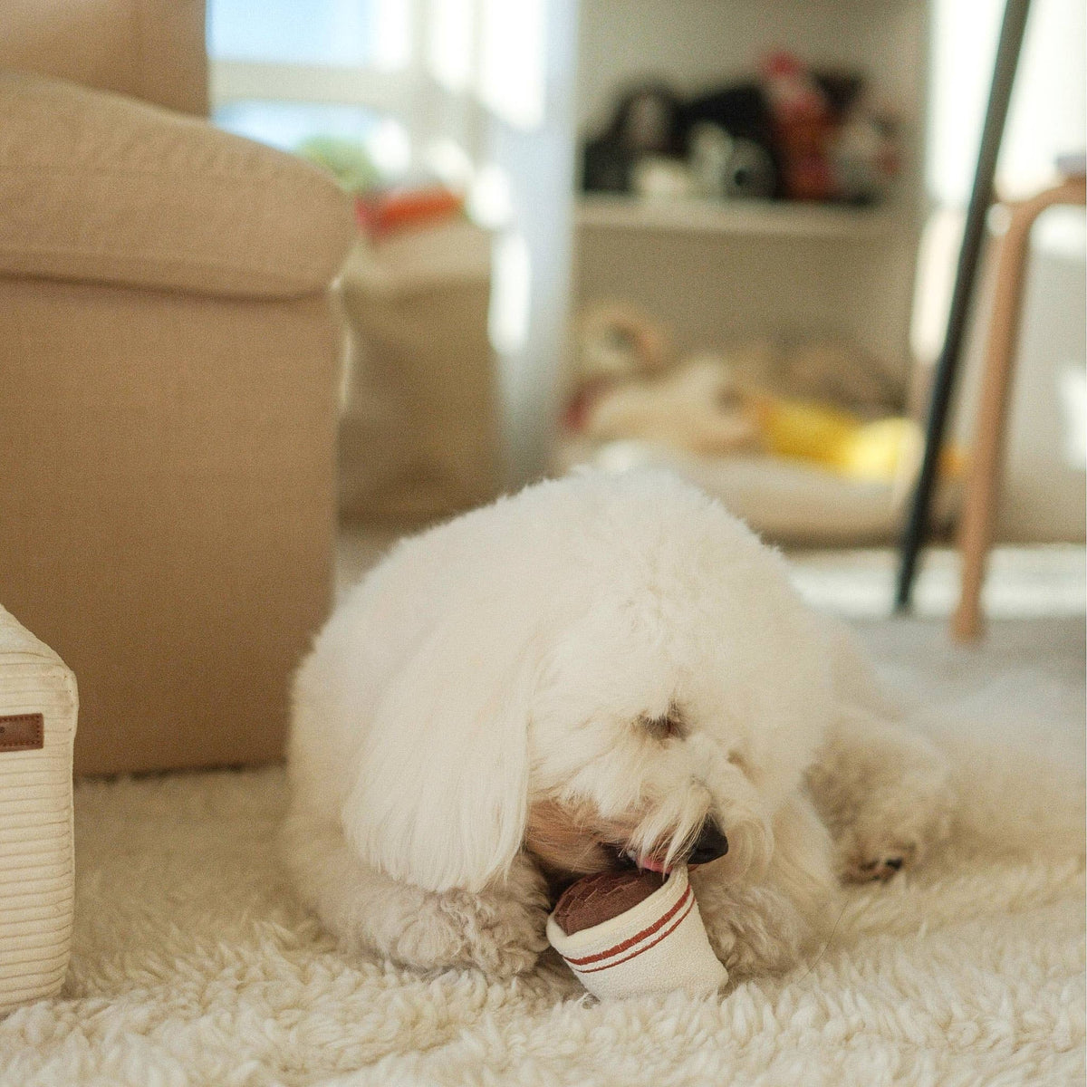 ESPRESSO POP // ENRICHMENT DOG TOY