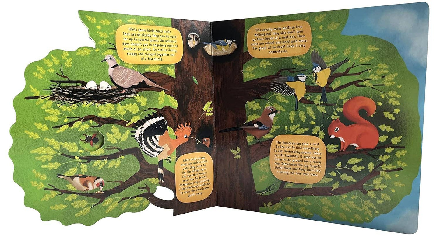 Discovering the World of Bird Nests -Children's Picture Book