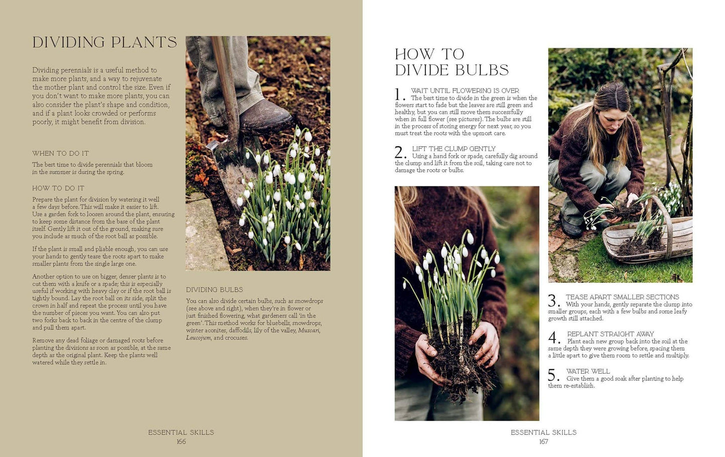 How Does Your Garden Grow?