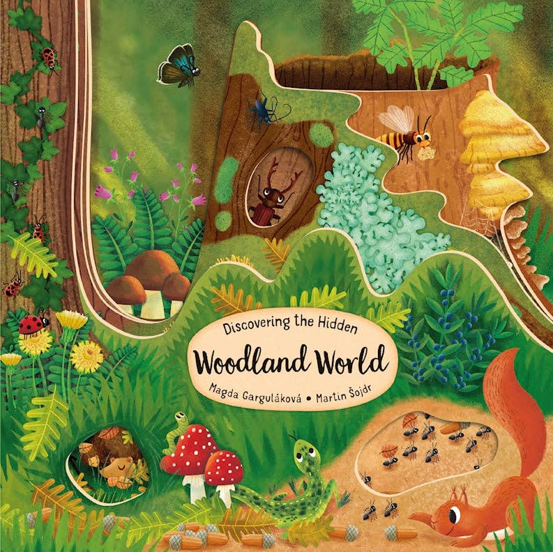 Discovering the Hidden Woodland World - Kid's Picture Book