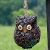 Ollie Owl
