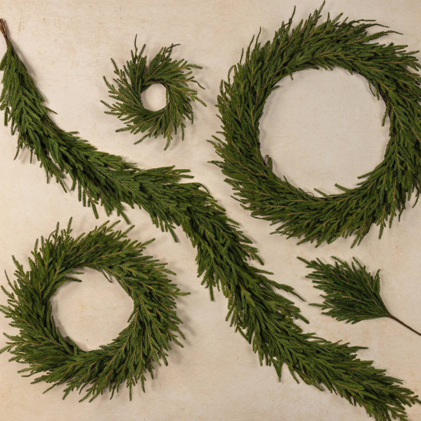 12" SOFT TOUCH NORFOLK PINE CANDLE RING