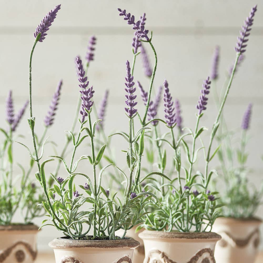 French Lavender Drop-In 13"