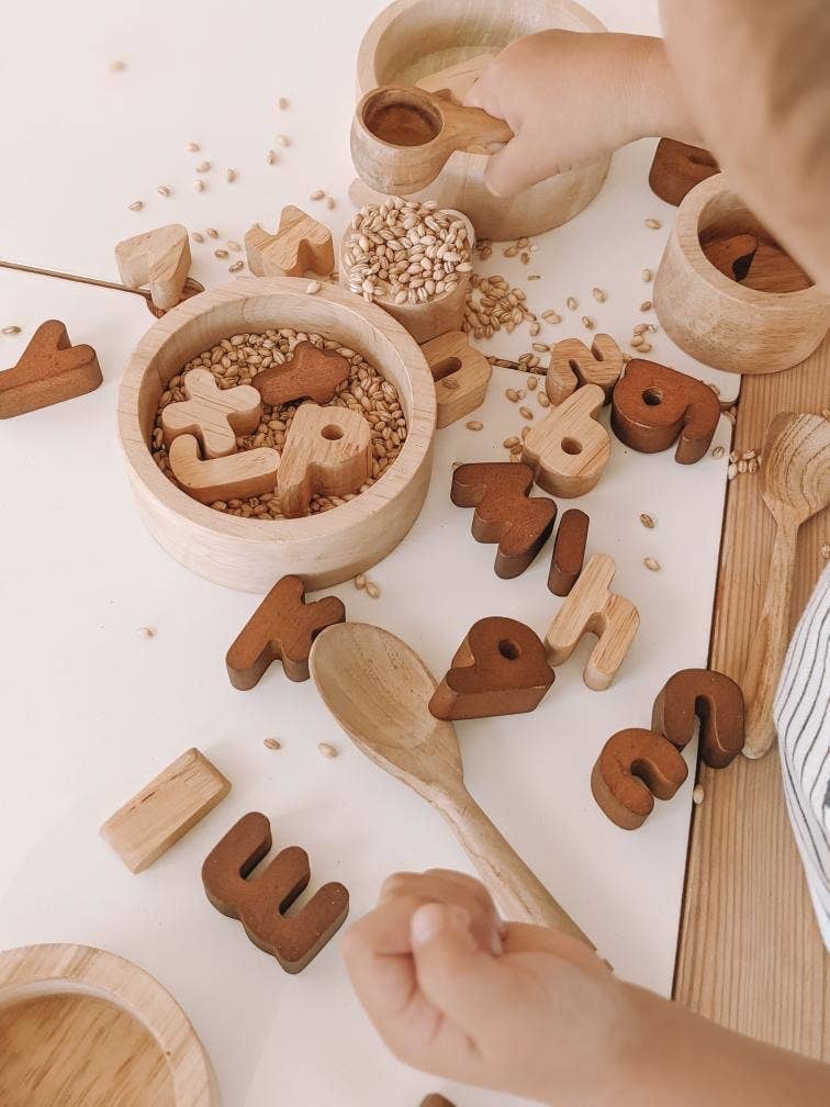 2 Tone Lower Case Letters Set of 26