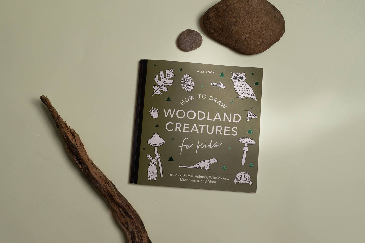 Mushrooms & Woodland Creatures: Kids How to Draw Book (fall)