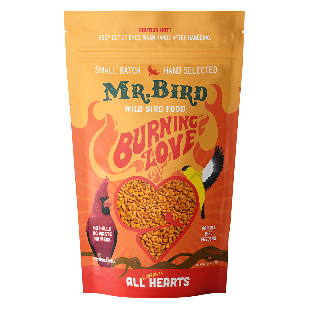 Burning Love Bag Seed 4 lb