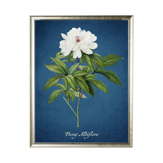 Peony Illustration On A Navy Background: 10" X 8" / Silver Frame
