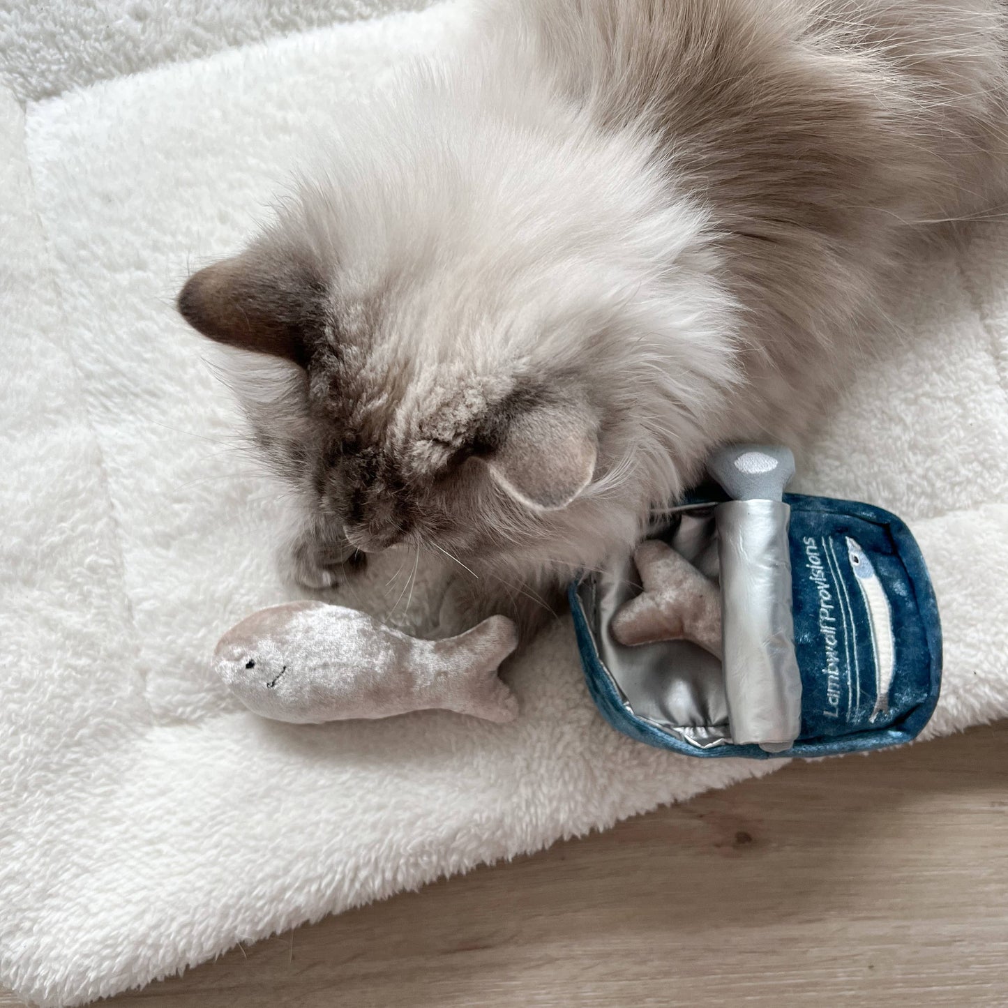 Kitty Sardines