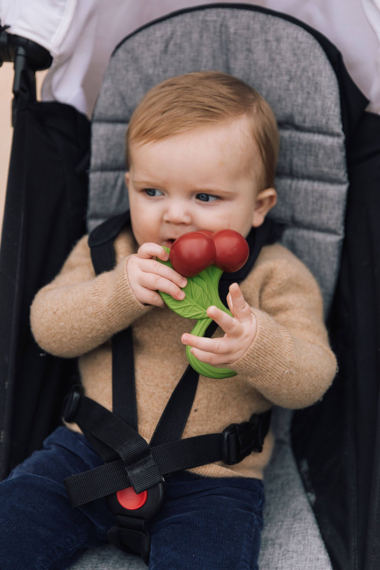 Cherry Rattle Toy