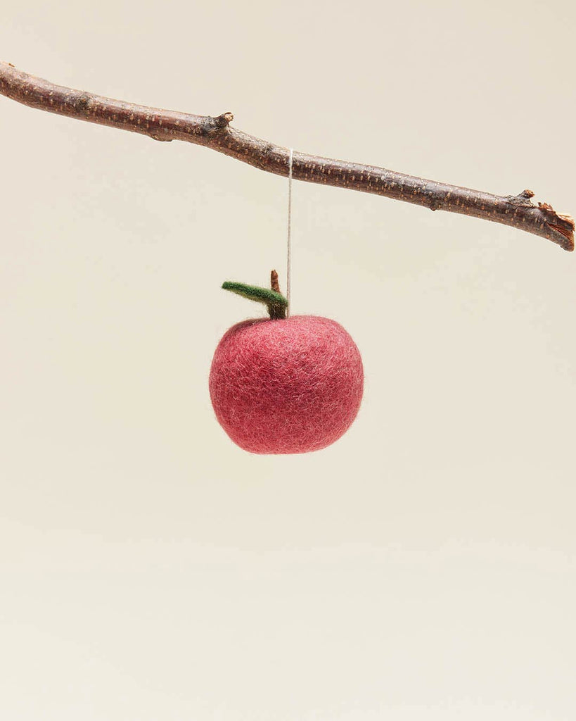 Felted Fruit Ornament-Apple