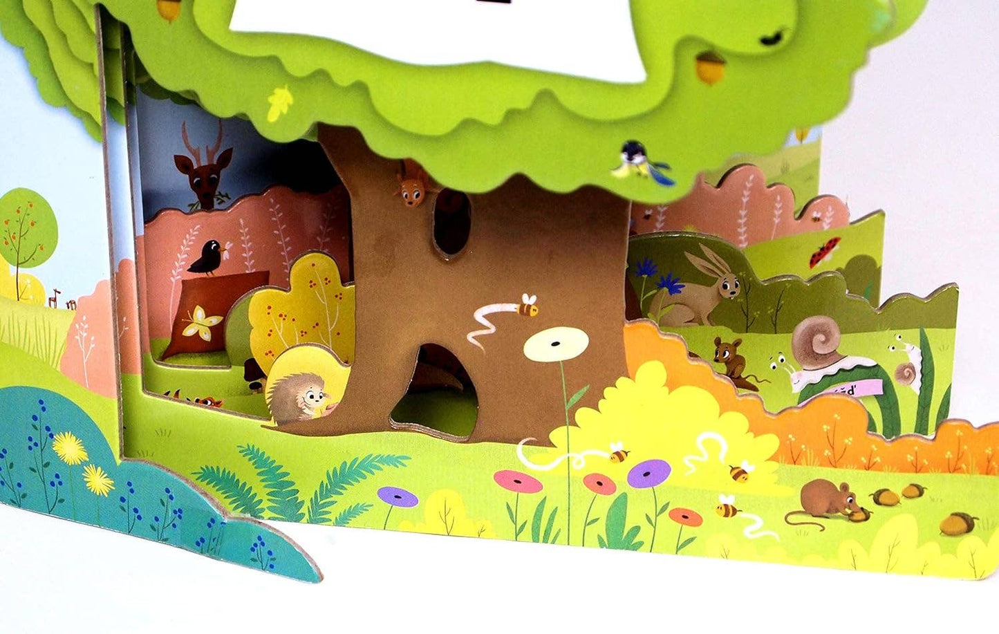 Discovering Life in the Tree - Children's Picture Board Book