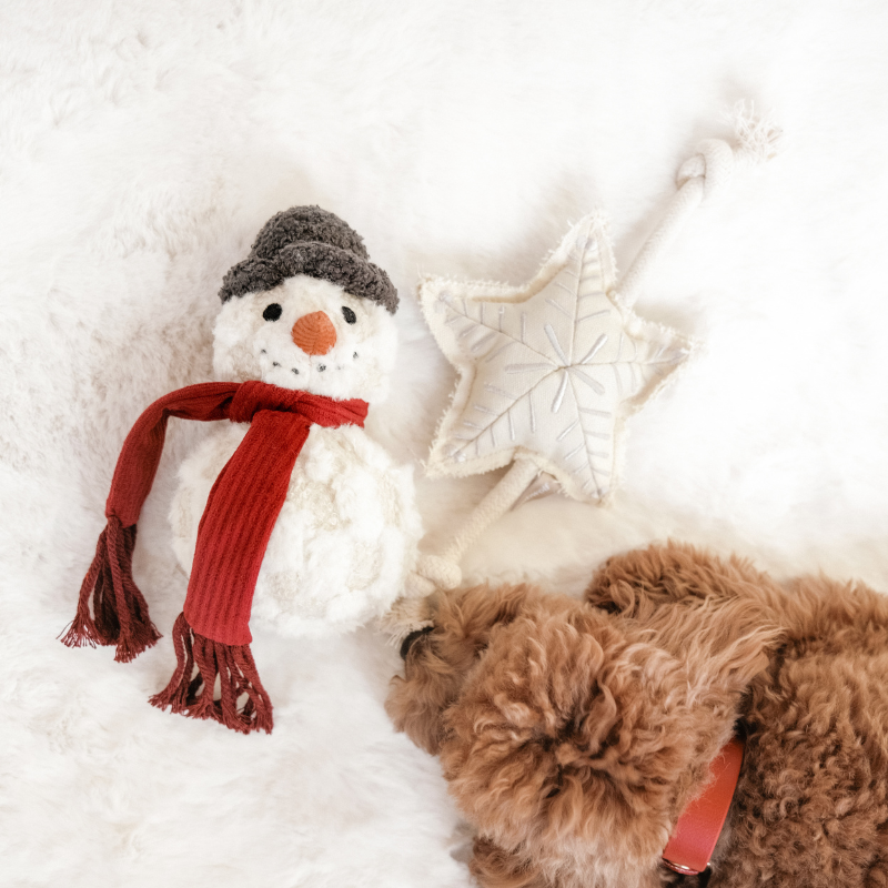 SNOWMAN//ENRICHMENT DOG TOY