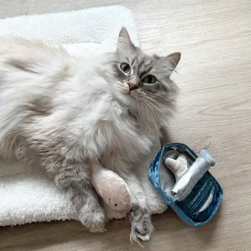 Kitty Sardines