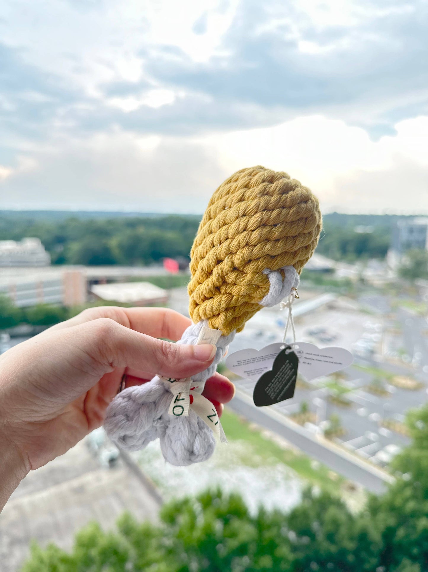 Clucky Drumstick Dog Toy | Toys For Small and Medium Dogs