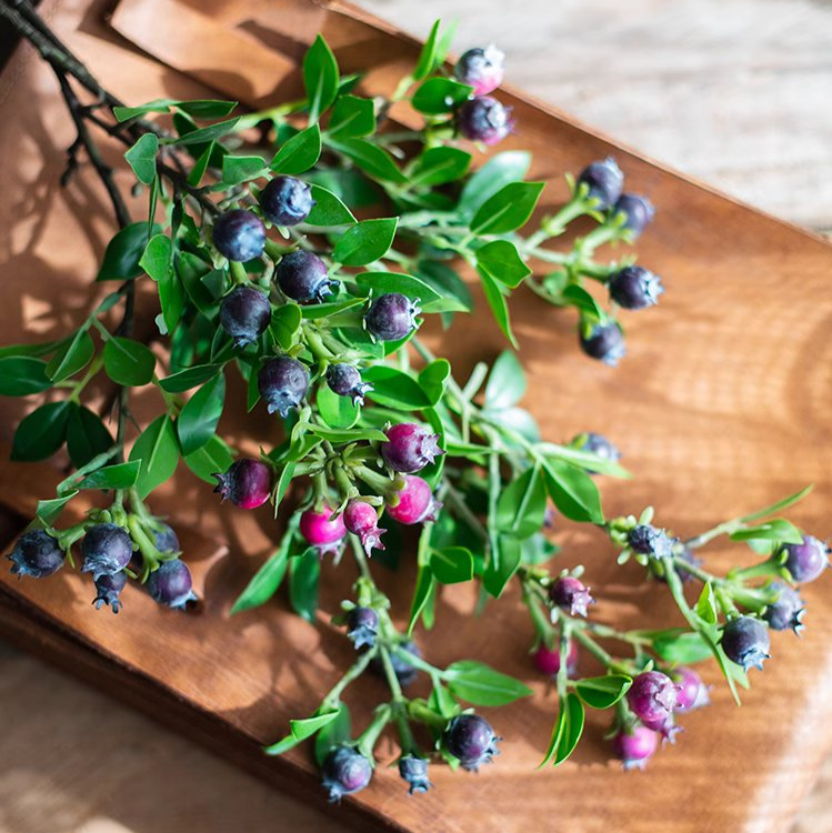 Artificial Alpine Blueberry Stem 22.4" Tall: Red / Three Stems