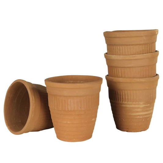 Campo Terra Cotta Cup