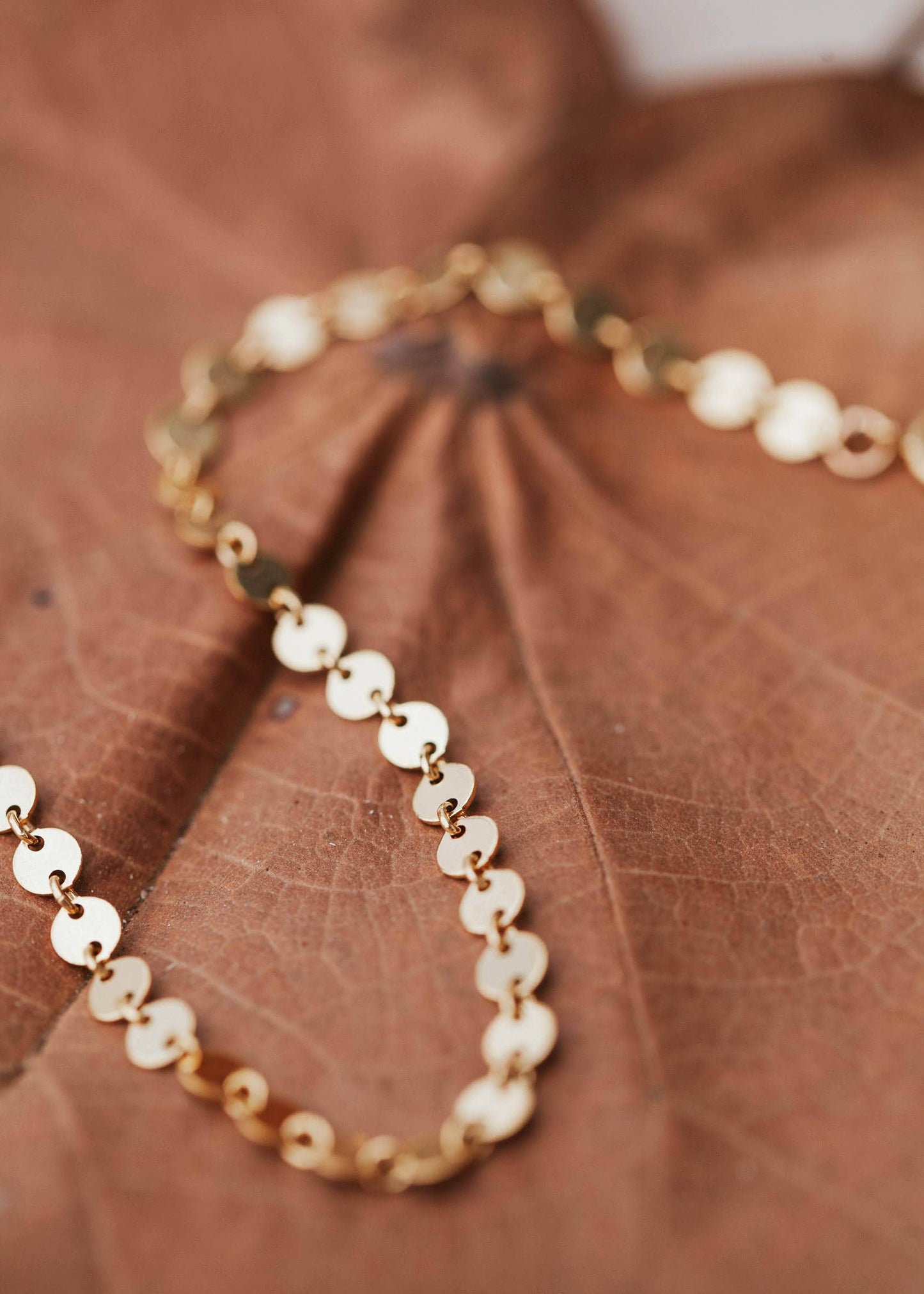 Confetti Bracelet | 14kt Gold Fill