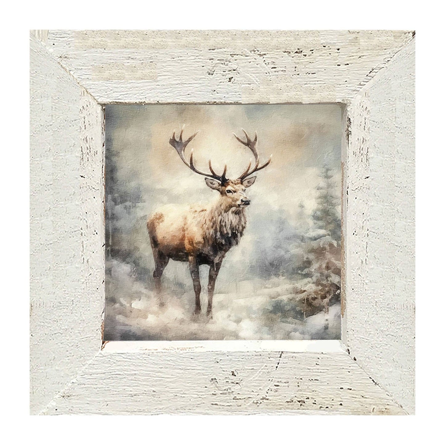 Elk: Black / Small