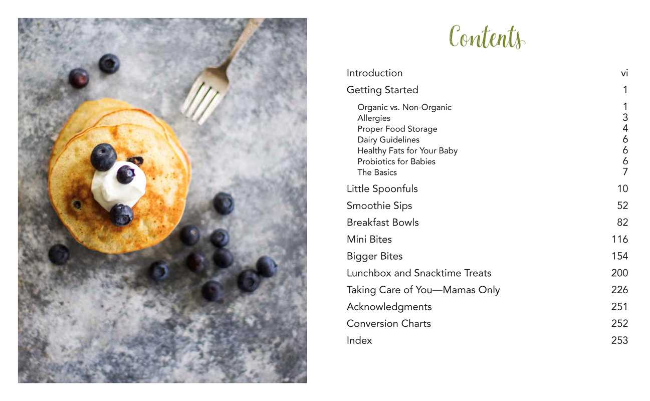 Natural Baby & Toddler Treats by Leigh Ann Chatagnier: Paperback