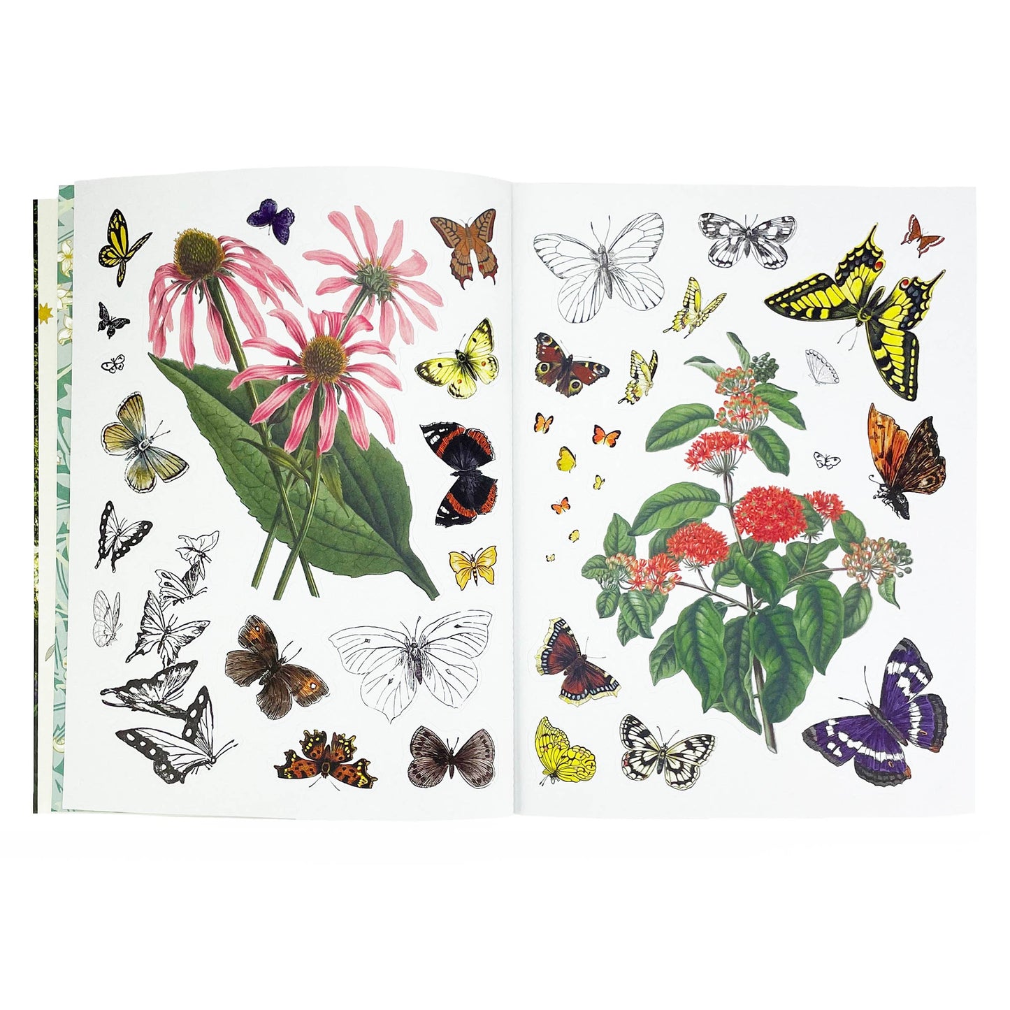 Sticker Emporium: Woodlandia Scrapbooking Sticker Book