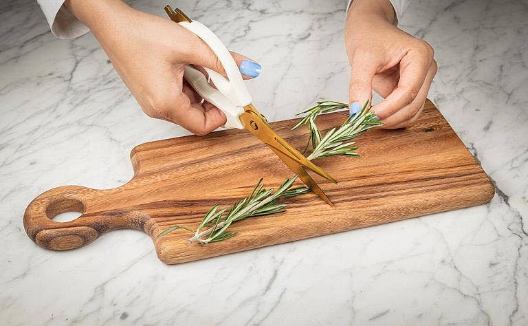 Multi Purpose Kitchen Shears-9"L: Green