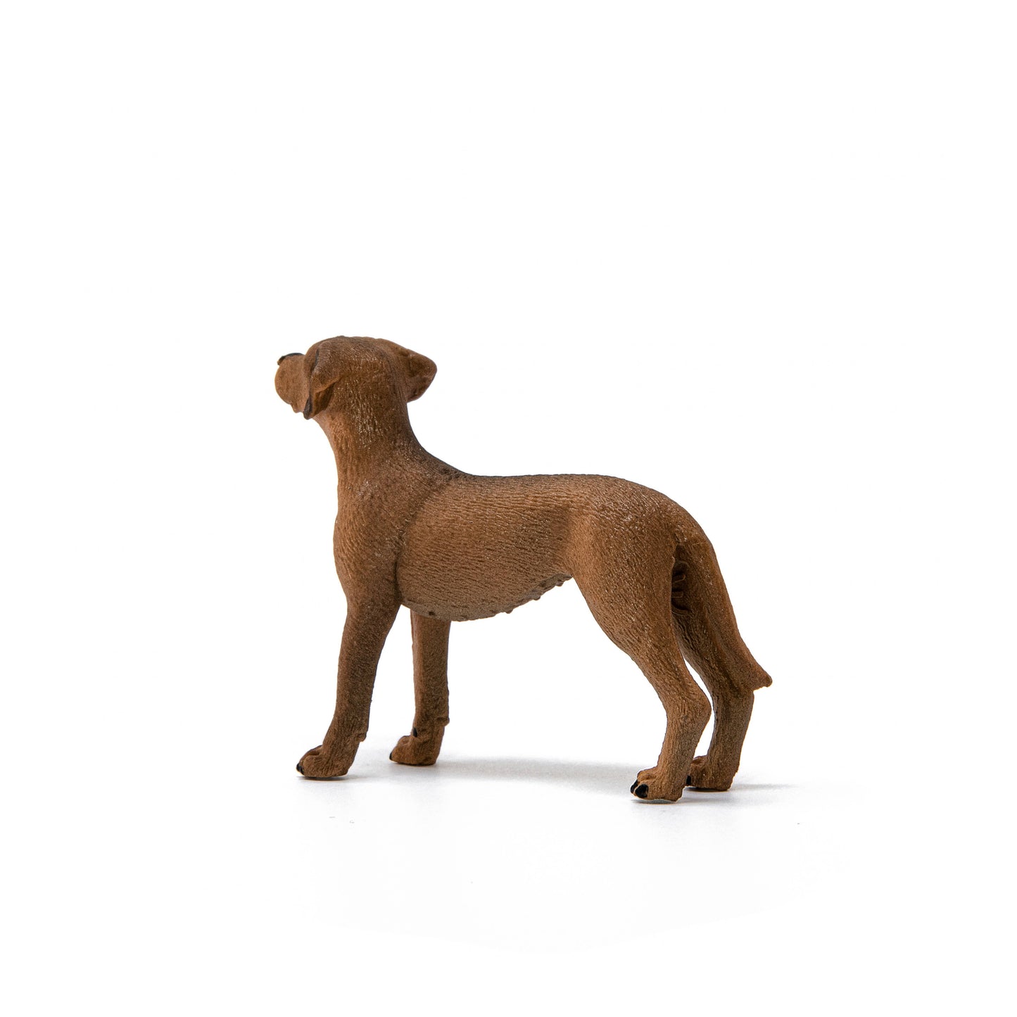 Rhodesian Ridgeback Farm Dog Toy