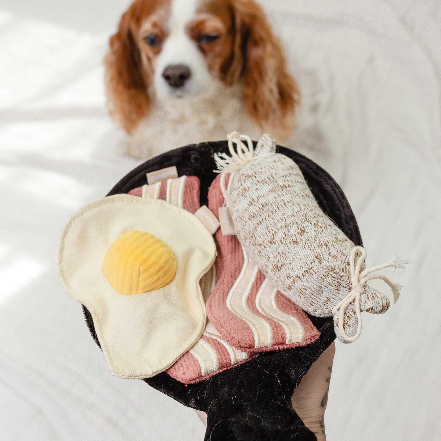 Breakfast Set  Dog Toy