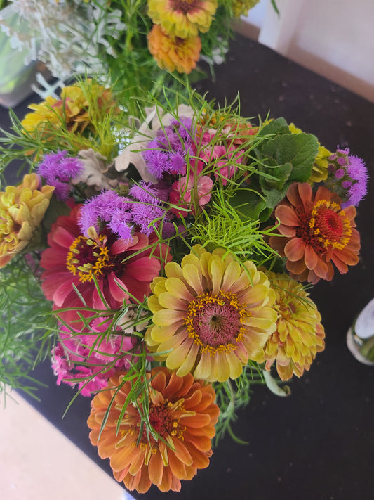 Saturday, March 29th at 11am Seed Starting Zinnias  Workshop