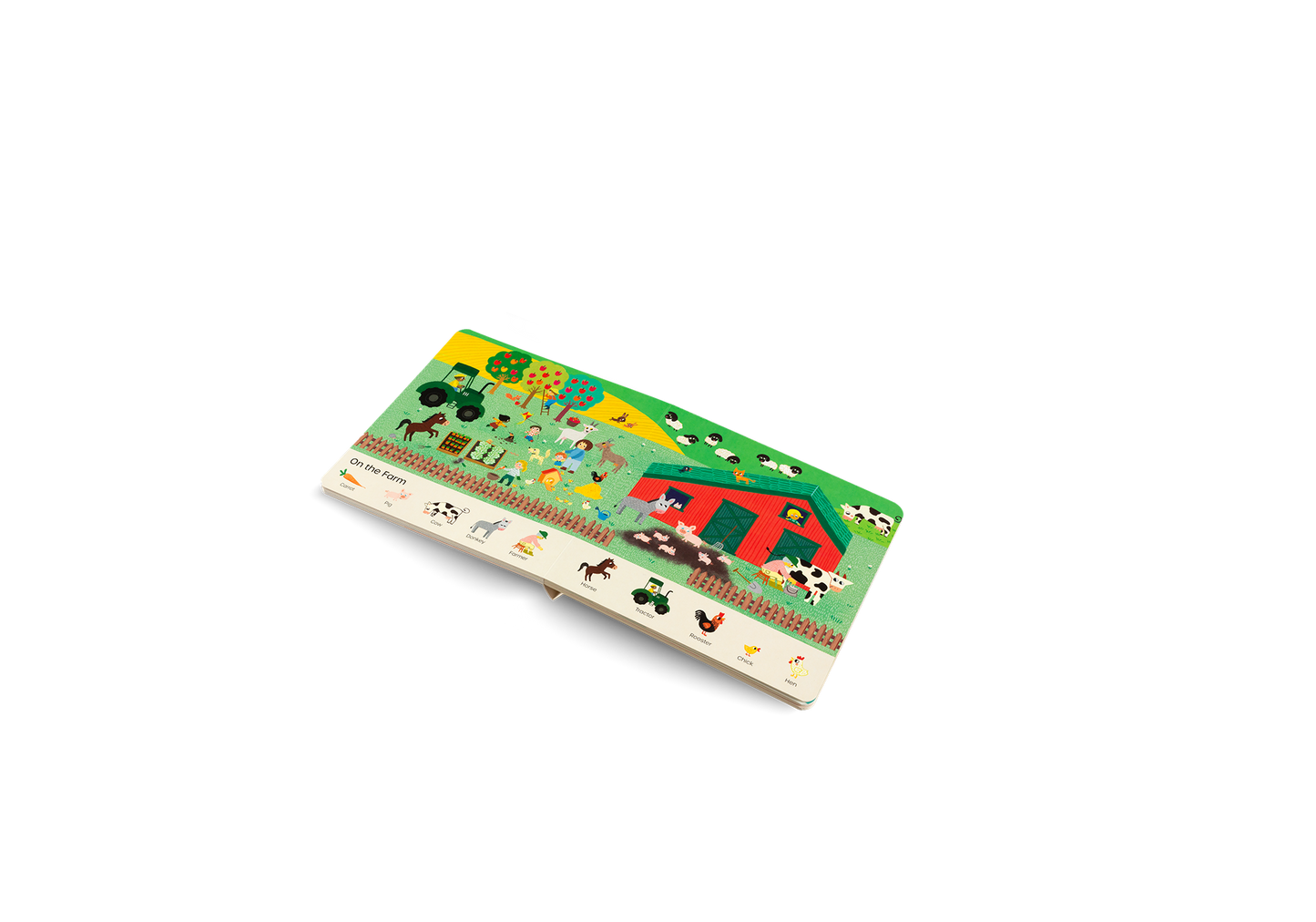 I Find My First Words