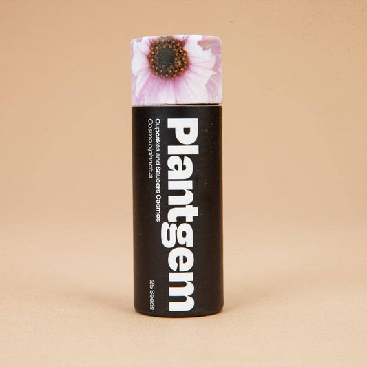 Cupcakes and Saucers Cosmos - 25 Seeds