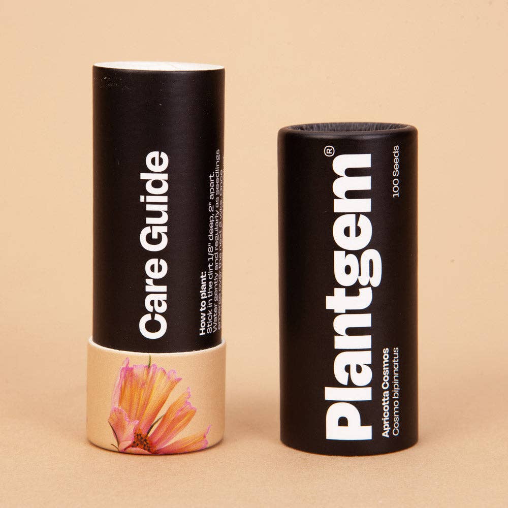 Apricotta Cosmos - 100 Seeds