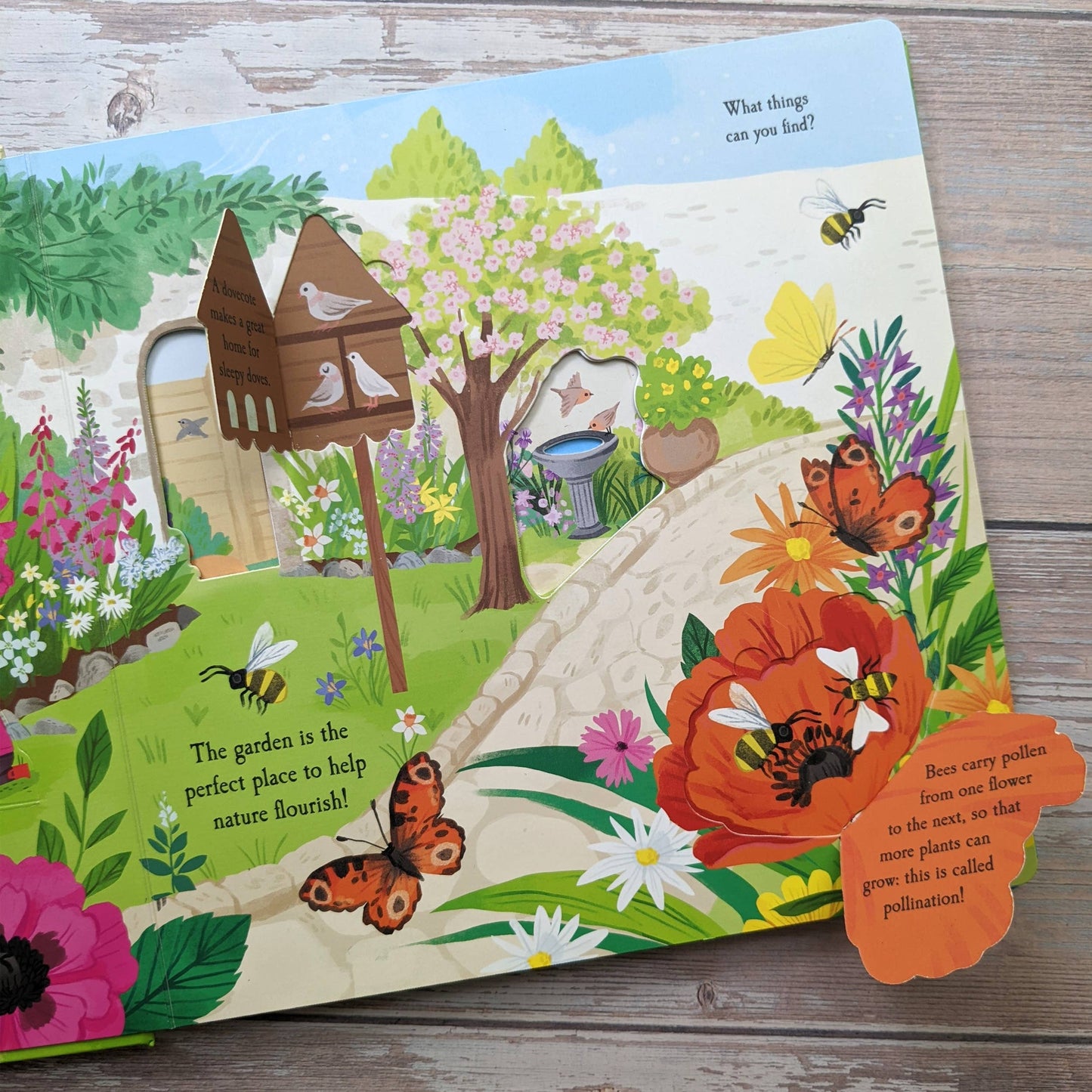 Garden-Nature Die Cut Book - Garden