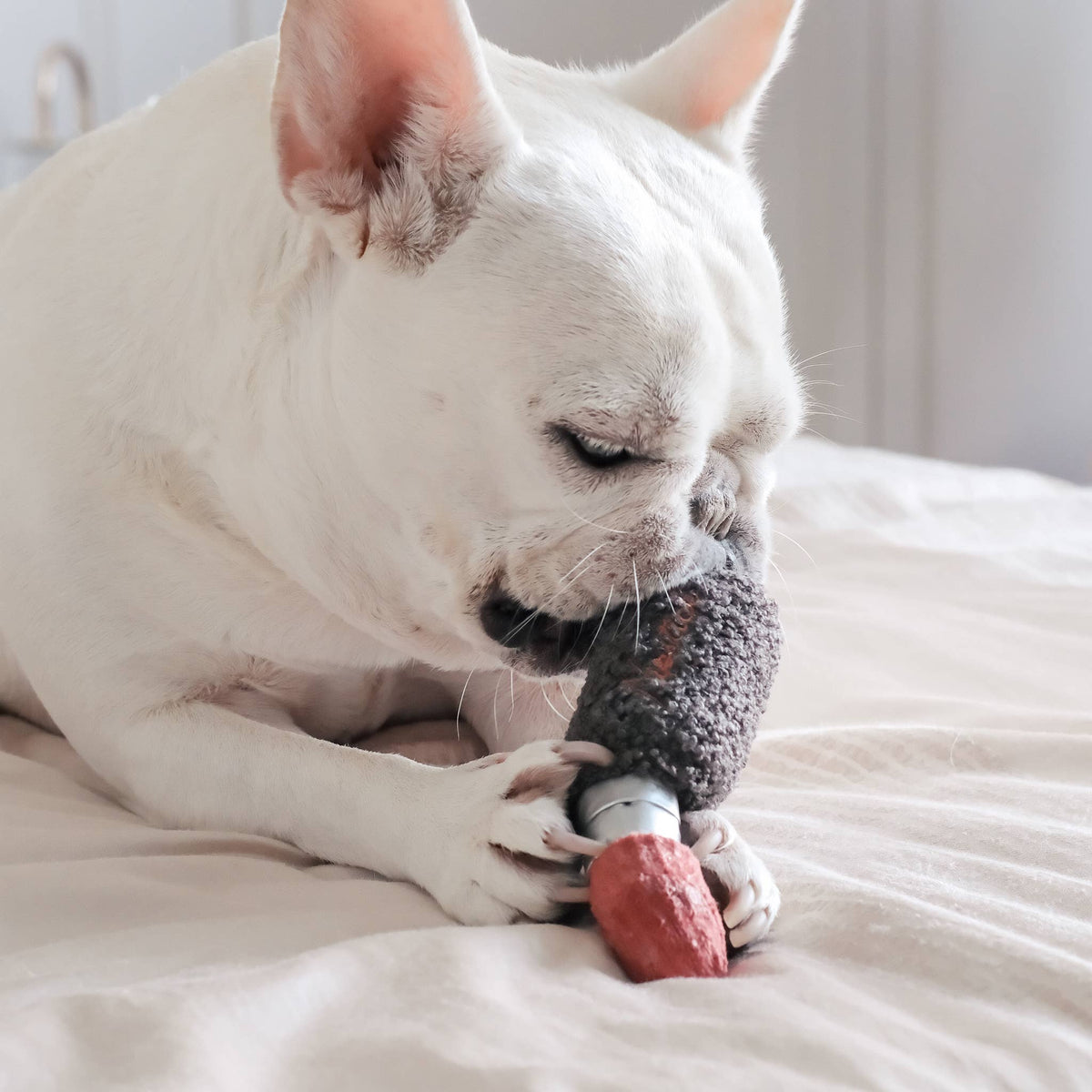 Lipstick // ENRICHMENT DOG TOY