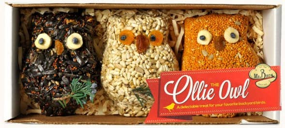 Ollie The Owl - 3 Pack