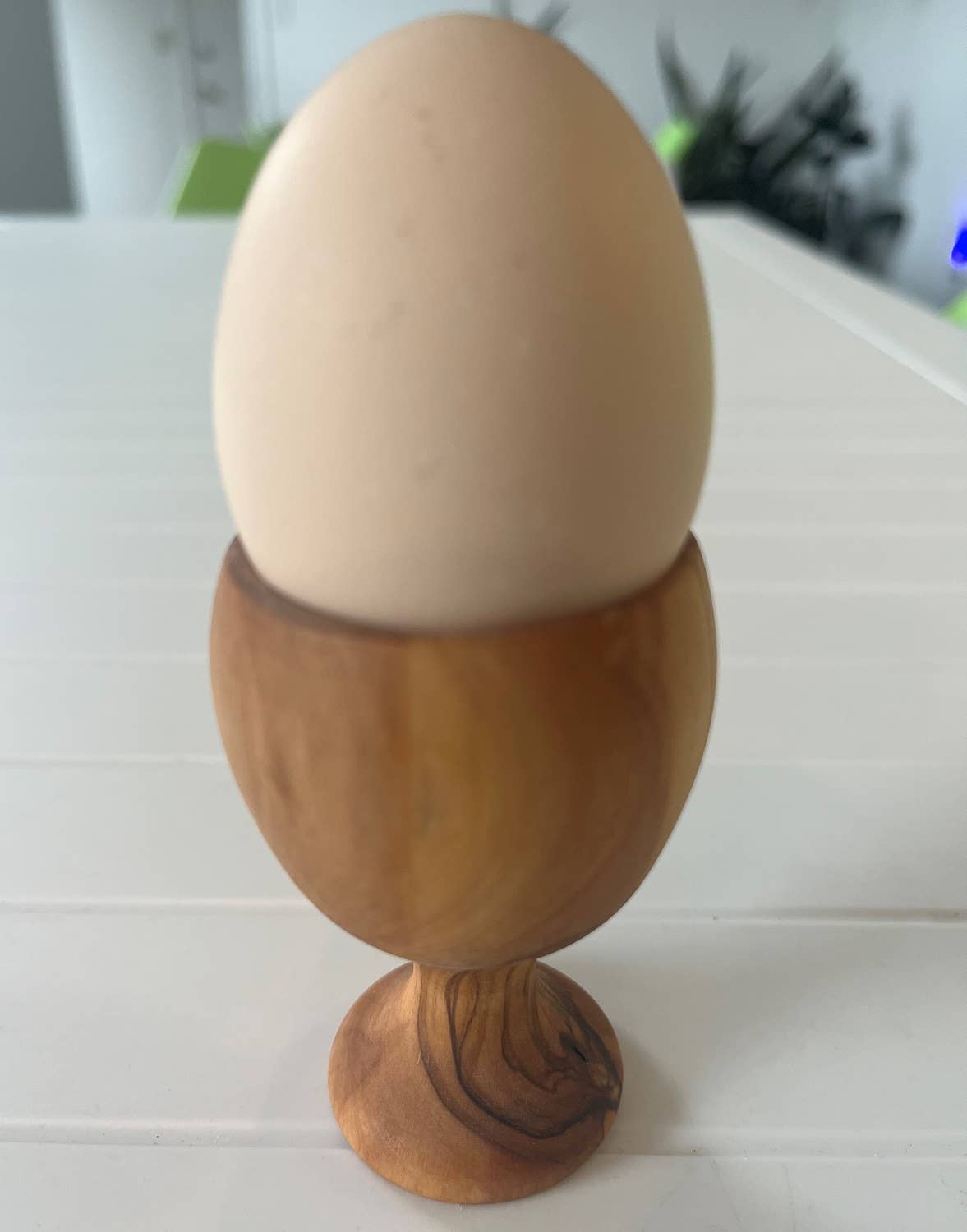 Egg Cup 7 cm Olive Wood Natural: Natural / Wood