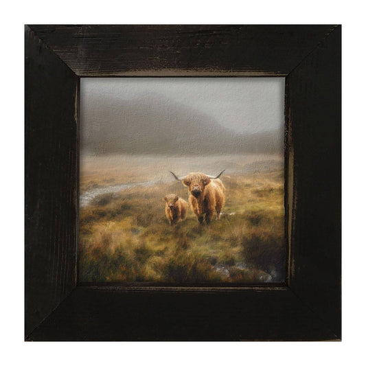 Highland Cows in field: Black / Small