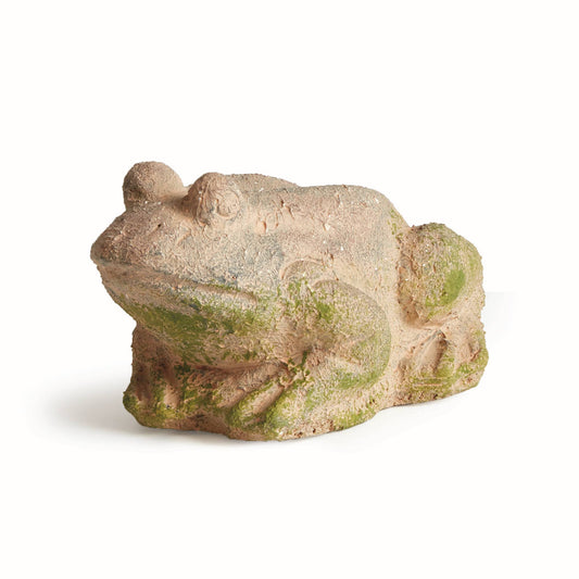 Weathered Garden Frog, Brown