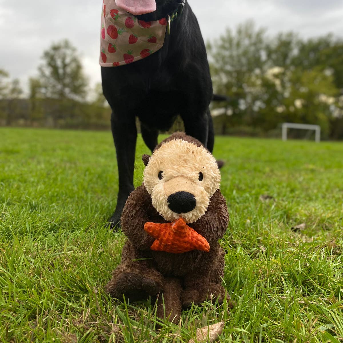 Otter Rope Body Dog Toy