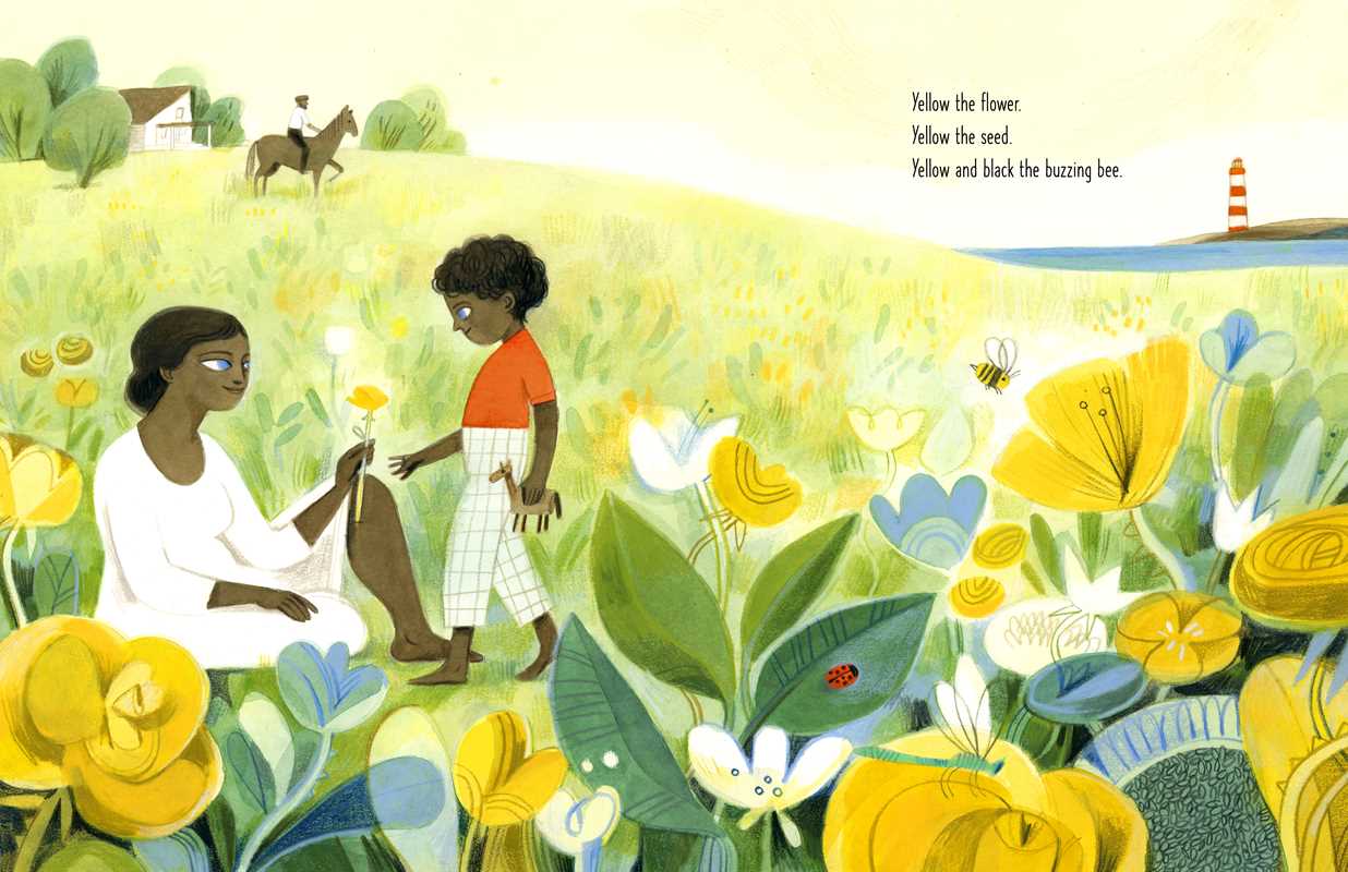 Green on Green by Dianne White: Hardcover
