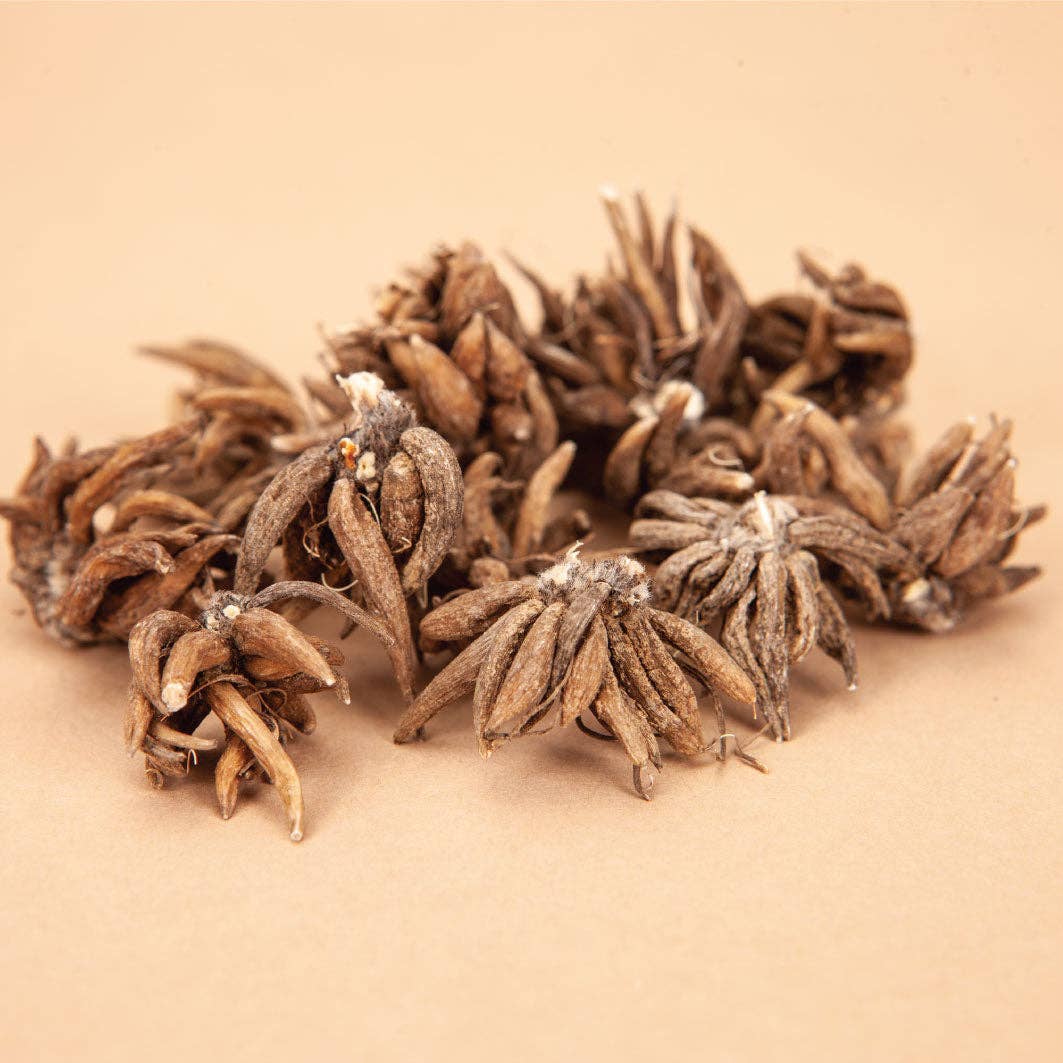 Ranunculus Elegance Pastello - 15 Corms