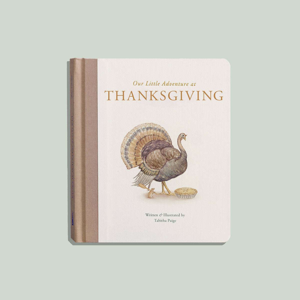 Our Little Adventure at Thanksgiving
