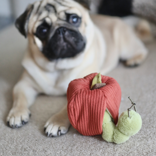 Apple Enrichment Toy Set