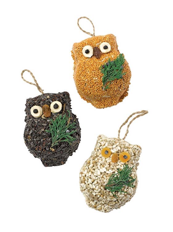 Ollie The Owl - 3 Pack