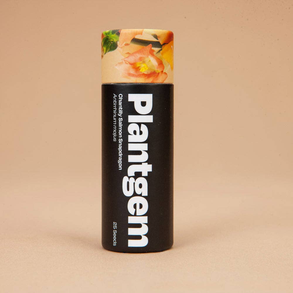 Chantilly Salmon Snapdragon - 50 Seeds